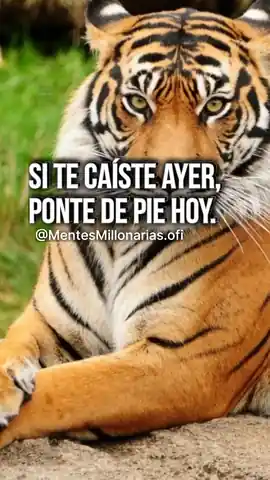 si_te_caiste_ayer_ponte_de_pie_hoy