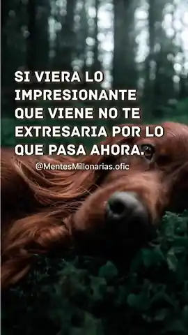 si_viera_lo_impresionante_que_viene_no_te_estresaria_por_lo_que_pasa_ahora