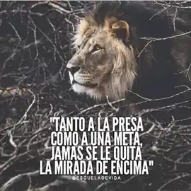 tanto_a_la_presa_como_a_una_meta_jamas_se_le_quita_la_mirada_de_encima