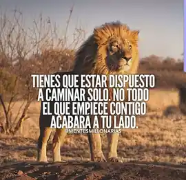 tienes_que_estar_dispuesto_a_caminar_solo_no_todo_el_que_empiece_contigo_acabara_a_tu_lado