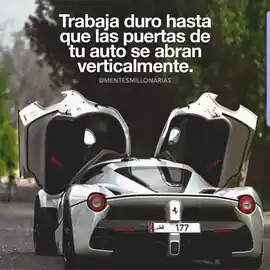 trabaja_duro_hasta_que_las_puertas_de_tu_auto_se_abran_verticalmente