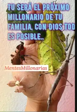 tu_seras_el_proximo_millonario_de_tu_familia_con_dios_todo_es_posible