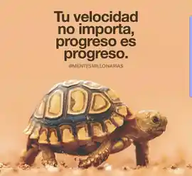 tu_velocidad_no_importa_progreso_es_progreso