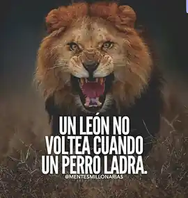 un_leon_no_voltea_cuando_un_perro_ladra