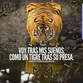 voy_tras_mis_suenos_como_un_tigre_tras_su_presa