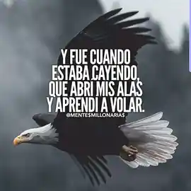 y_fue_cuando_estaba_cayendo_que_abri_mis_alas_y_aprendi_a_volar