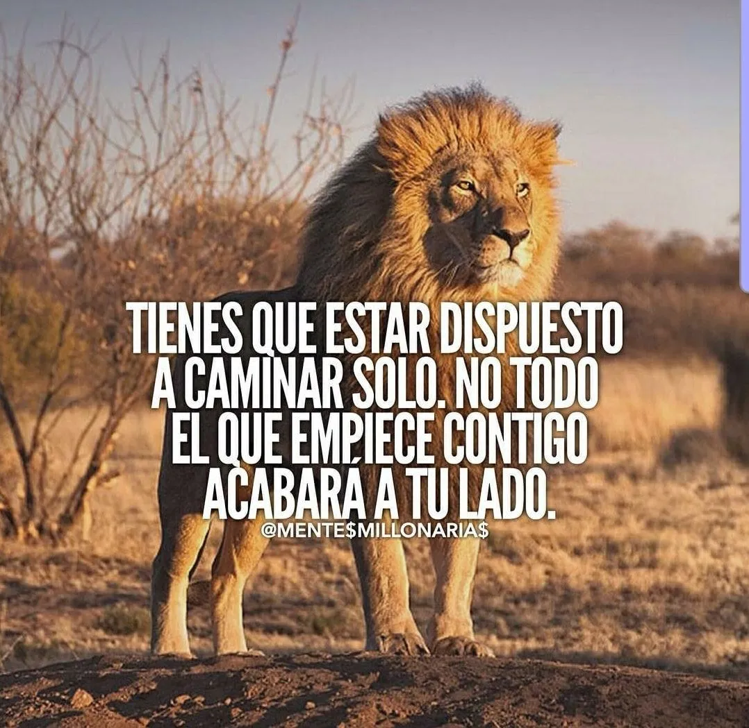 Tienes que estar dispuesto a caminar solo.