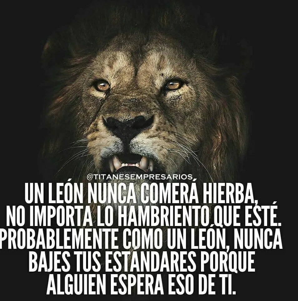 Un león nunca comerá hierba.