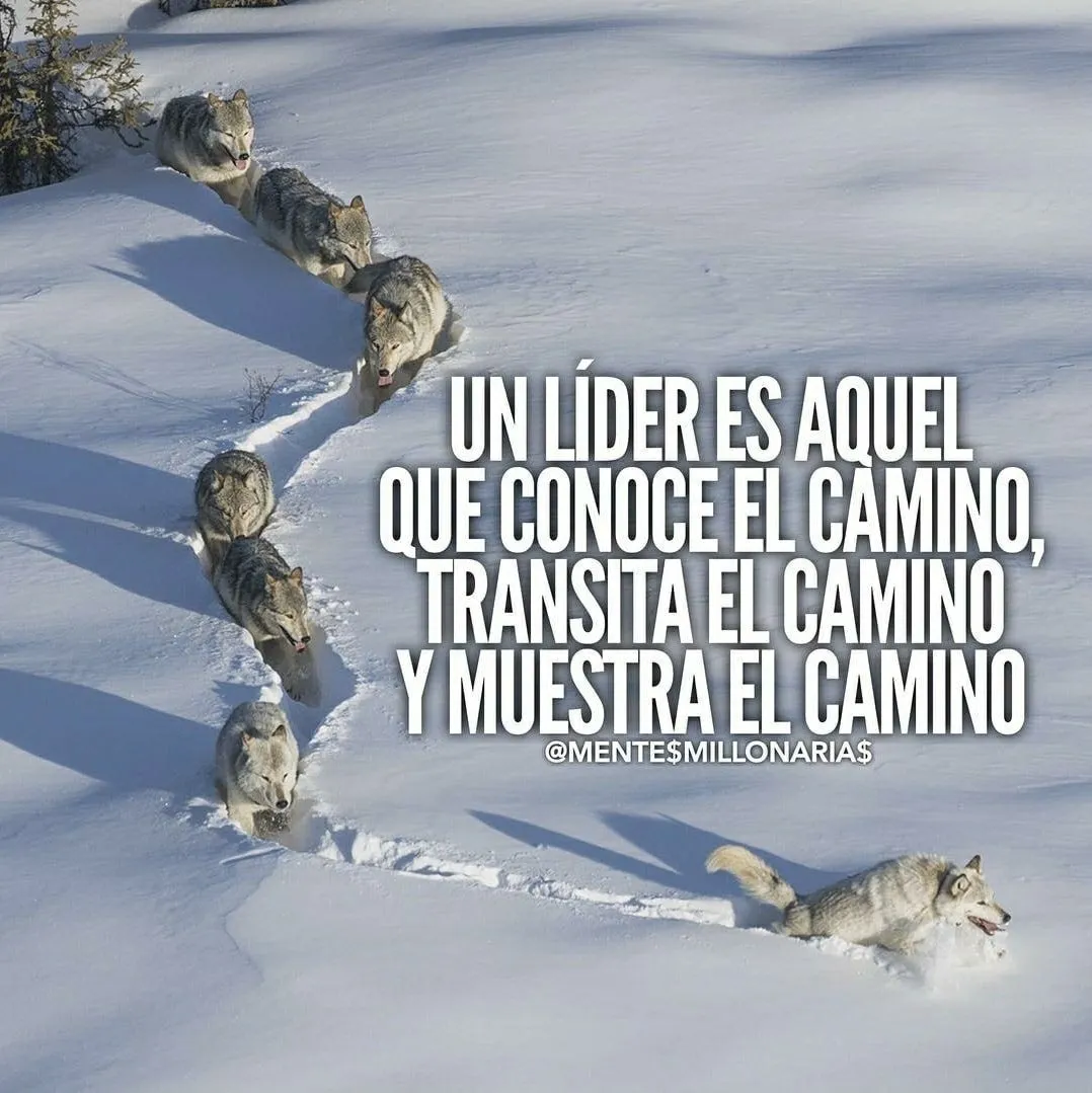 Un líder es aquel que conoce el camino.