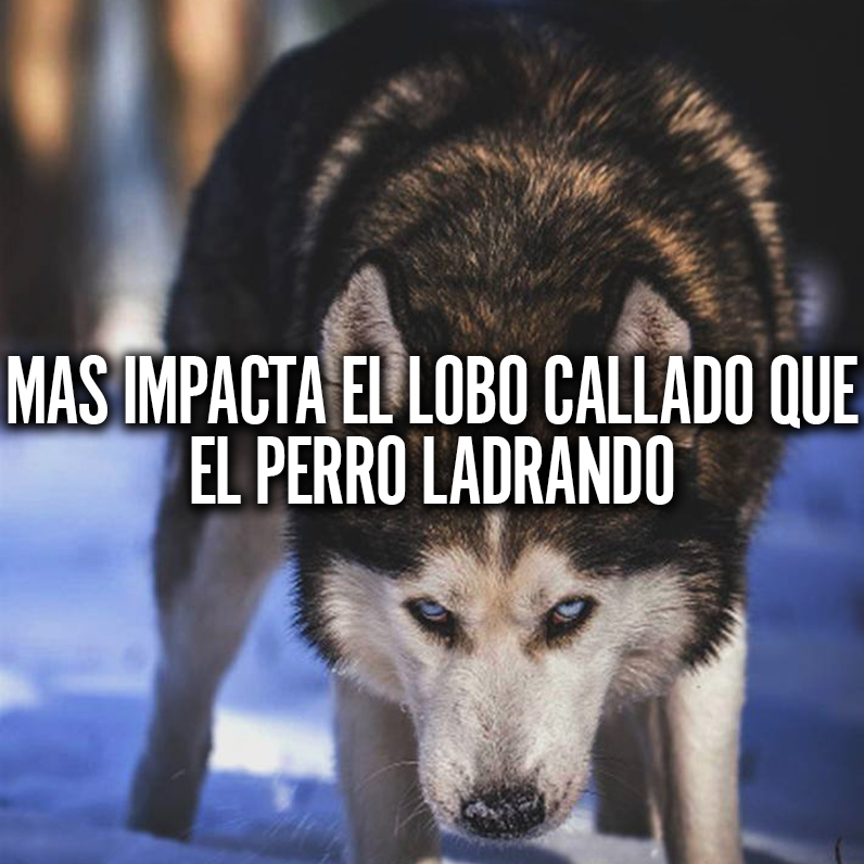 Mas Impacta El Lobo Callado Que El Perro Ladrando Mentes Millonarias