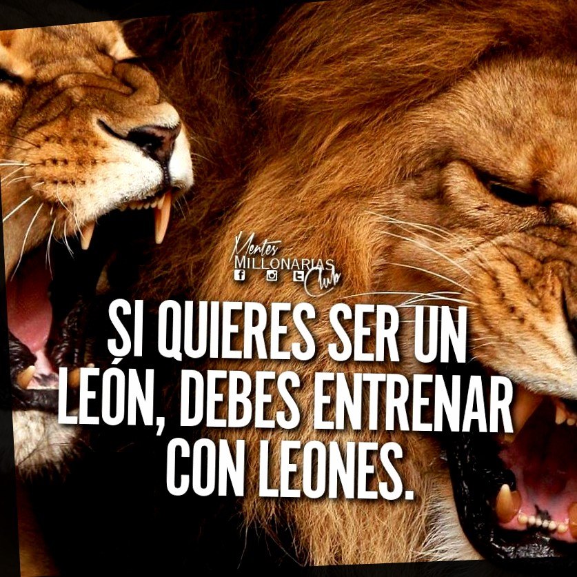 Si quieres ser un león, debes entrenar con leones - Mentes Millonarias ?